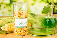 Newbury biofuel availability