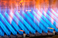 Newbury gas fired boilers